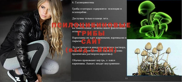 герыч Пересвет