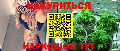 крисы Чебоксары