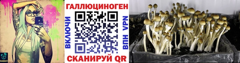 Псилоцибиновые грибы прущие грибы Усть-Кут