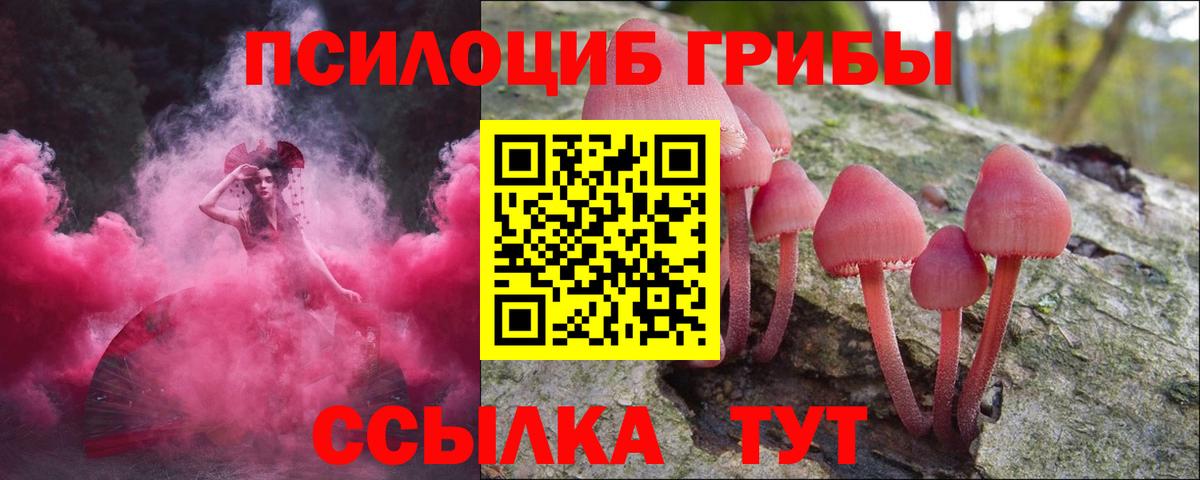 Псилоцибиновые грибы Cubensis  Вход с VPN  Усть-Кут 