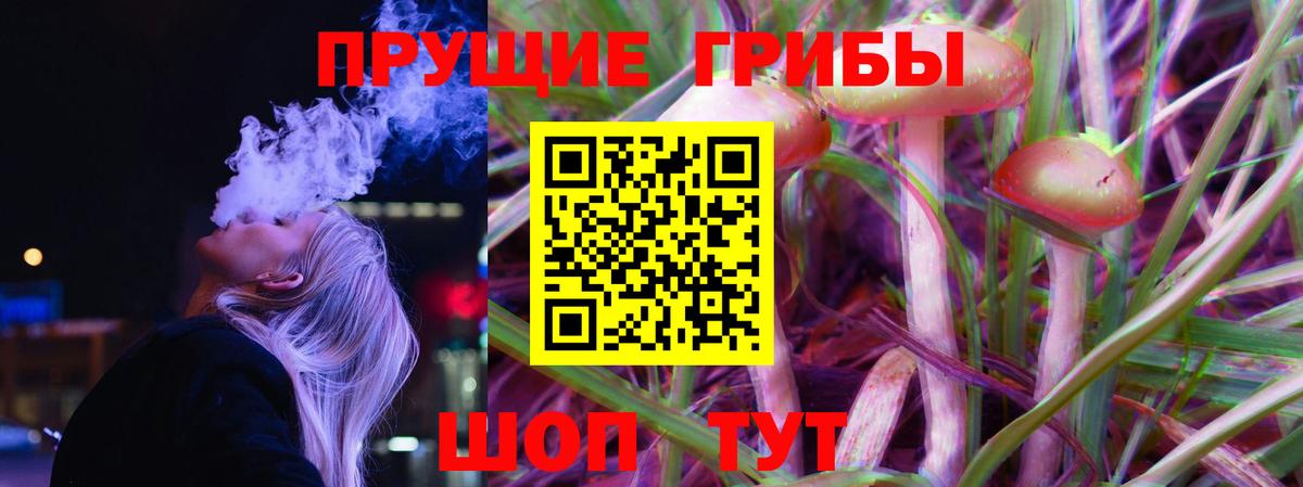Галлюциногенные грибы мухоморы Усть-Кут